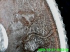 Foto 7 di 17