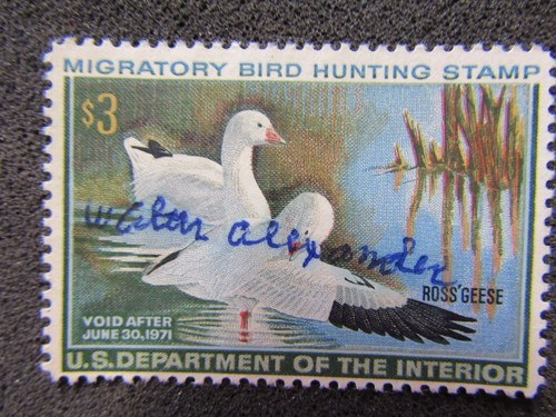 1970 US S# RW37 $3.00 Federal Duck Stamp - Ross' Geese used