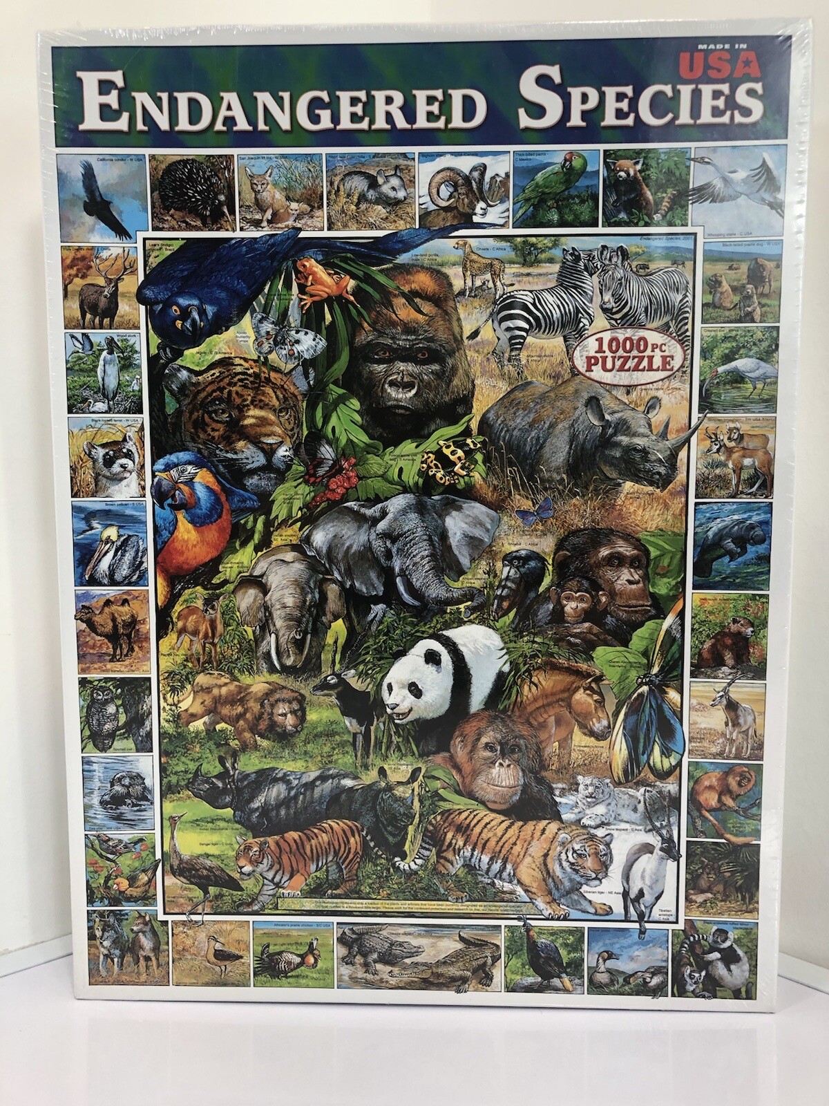 Picture 2 of 10