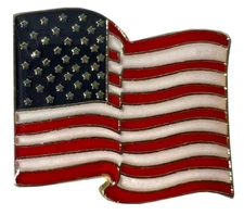 Wholesale Lot of 12 USA 50 Star Wavy #1 Hat Cap Lapel Pin