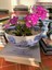 georgetownbooks27