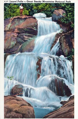 Glossy Postcard Laurel Falls Great Smokey Mountains