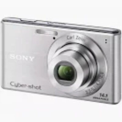 Sony Cyber-Shot DSC-W350 Silver Digital Camera 4x14.1 Megapixels EnglishLanguage