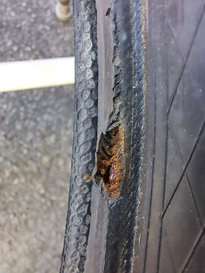 magic mary bike park