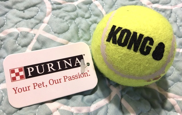 kong medium squeaker ball