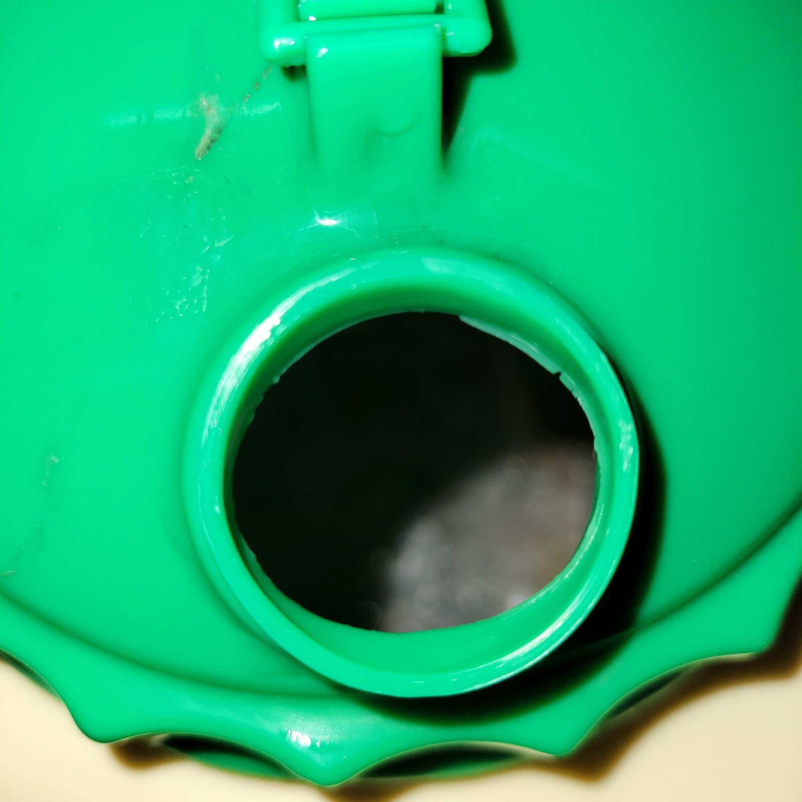 Picture 8 of 10