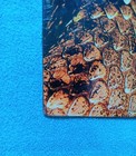 Picture 4 of 8