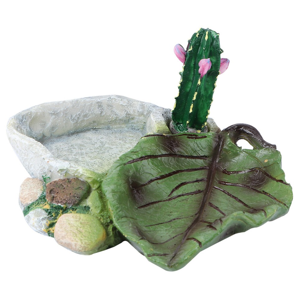 Bearded Dragon Water Dish Reptile Terrariums Lizard Food Bowl eBay