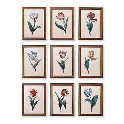 FRONTGATE Framed Dutch Tulips Botanical Prints Ready To Hang NEW