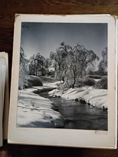 "Glistening Raiment" Gelatin Silver Print-Photographer L.E. Cheesman