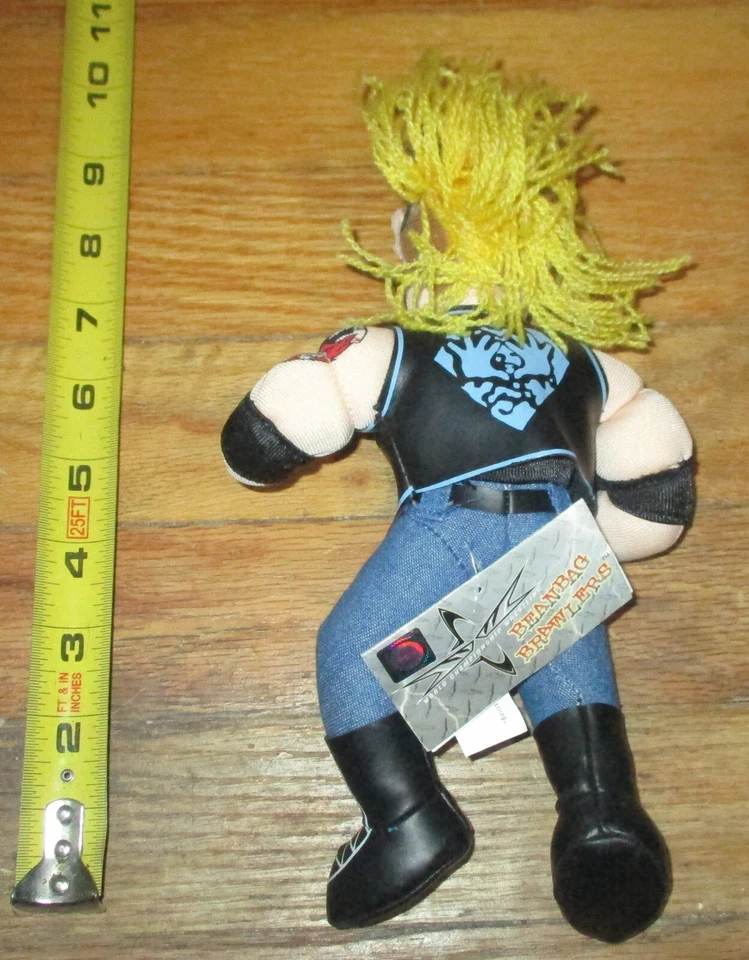 1998 WCW NWO DDP Diamond Dallas Page Wrestling Beanbag Brawler WWF WWE NOVO COM ETIQUETAS - Imagem 2 de 3