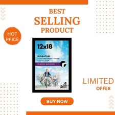 Stylish 12x18 Black Poster Frame - Shatter-Resistant Glass for Lasting Memories