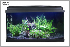 Swell 60cm Aquarium Starter Kit- 54L LED Fish Tank Tropical & Coldwater Setup UK