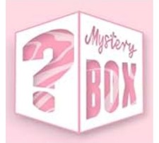   Mystery Beauty  Skincare Box   Get Ready to Be Surprised 