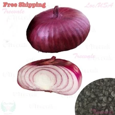 Flat Red Cipollini Onion, Red Cipollini Onion, Italian Onion, Red Marble Seeds