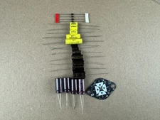 Rebuild Kit for Eico 250 255 VTVM Voltmeter Full Recap Set w/ Instructions