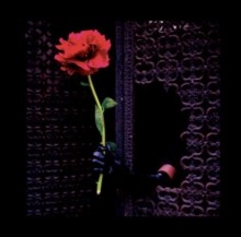 Crush Of Souls - Avoid Love Lp Release Date 29/09/23 This Can Change - G3Z-image