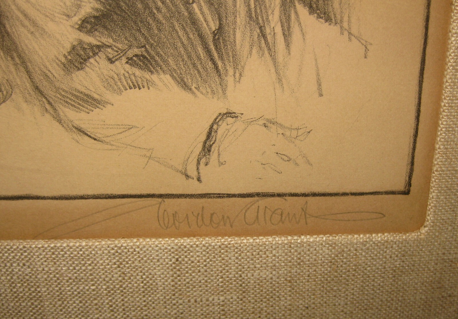 Picture 4 of 11