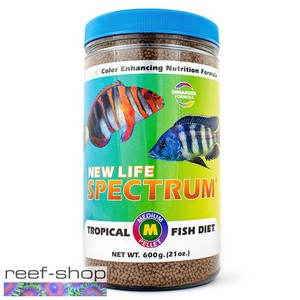 medium tropical fish