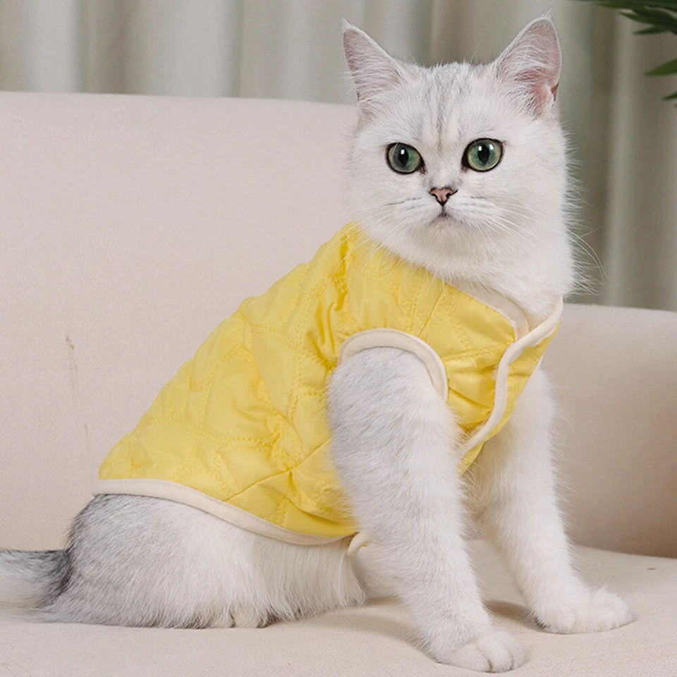 Autumn Winter Pet Vest Puppy Hairless Cat Warm Padded Coat Button Jacket Vest - Image 4 of 4