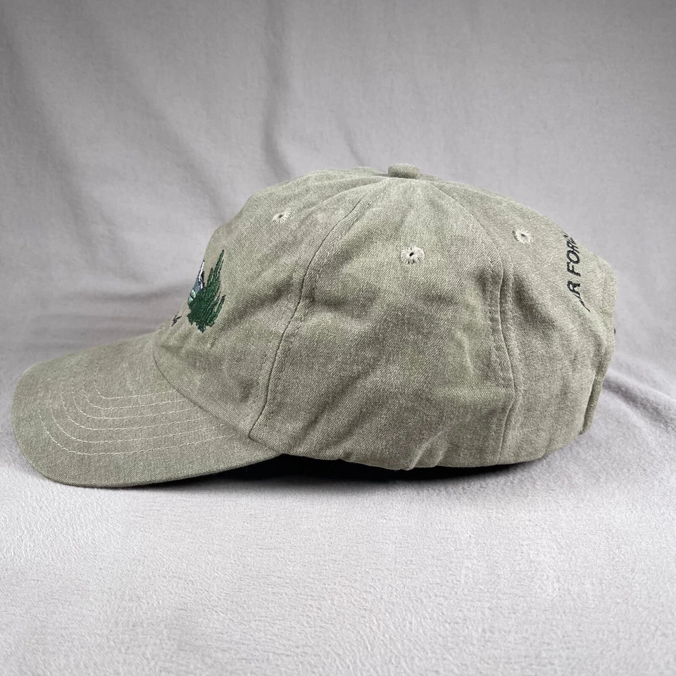 Gorra Farish Air Force Academy para hombre ajustable verde parque militar Colorado Foto 2 de 4