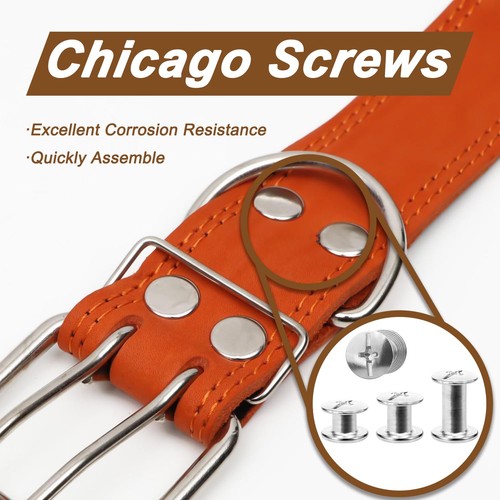120 Sets Chicago Screws for Leather,Metal Repair Rivets Kit,Silver M5 Sizes - Picture 9 of 9