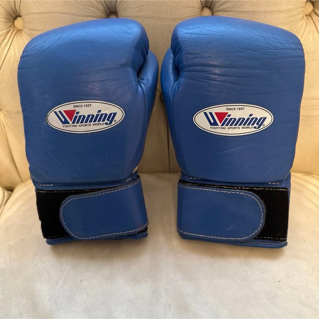 Winning Blue Boxing Gloves | eBay