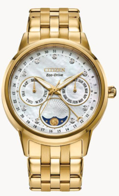 CITIZEN FD0002-57D Calendrier Eco-Drive Chronograph Moon Phase
