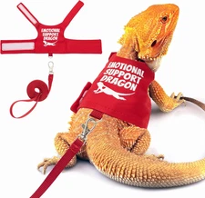 Bearded Dragon Harness and Leash Set - Escape Proof Adjustable Lizard Reptiles H