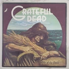 Grateful Dead - Wake Of The Flood Vinyl LP - 1973 - Grateful Dead Records GD-01