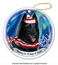 Belgian Sheepdog Northern Lights Twelve Days of Treats Holiday Ornament
