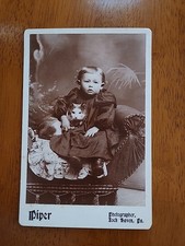 19th Cent Cabinet Card: Sweet Little Girl With Her Cat