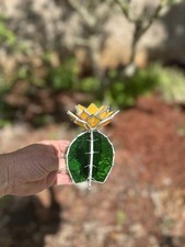Stained Glass Cactus With Three Layer Bright Yellow Flower