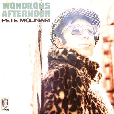 Pete Molinari - Wondrous Afternoon Black Vinyl Edition (2023 - UK - Original)