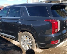 2020-2024 Hyundai Palisade LH Driver Roof Curtain Airbag OEM