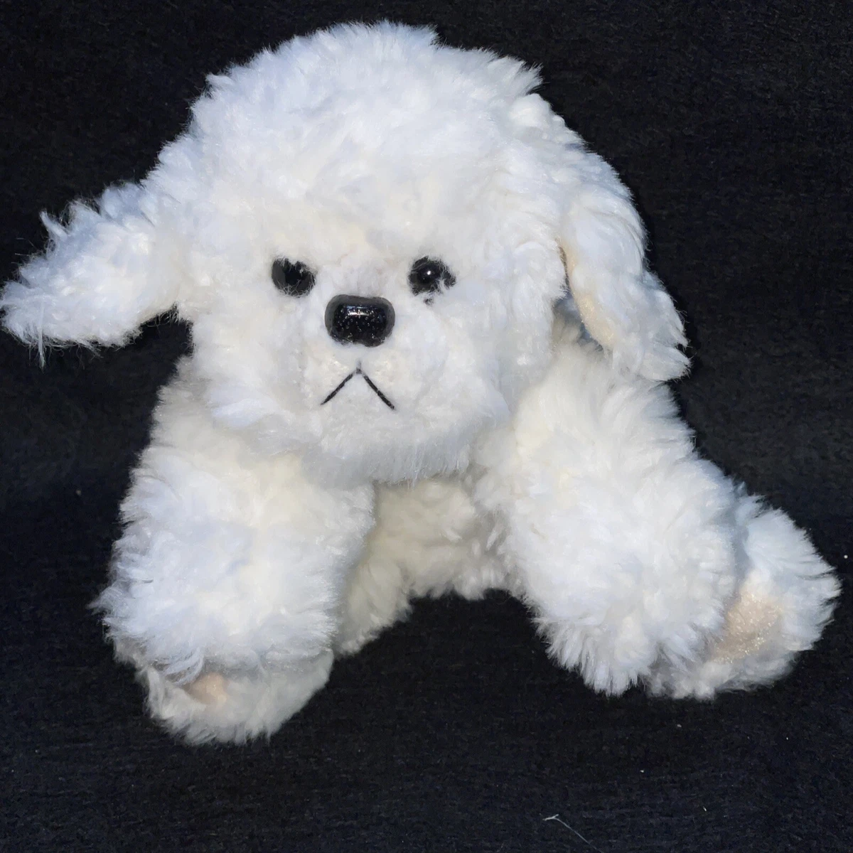Bichon frise small white cheap dog