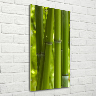 Wand-Bild Kunstdruck aus Hart-Glas Hochformat 70x140 Bambuswald