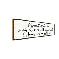 Holzschild 10X27 Cm Mein Gehalt Eher Schmerzensgeld Spruch Zitat Deko Geschenk H