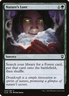 Nature's Lore (EX/NM) Fetch Forest Set kann variieren MTG Rabatt: 5+ Magic Singles