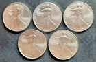 New ListingLot of 5 - $1 American Silver Eagle 1 oz each BU All Dates are 2025