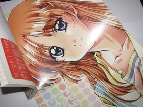Friends Seishun no Kagayaki Sega Saturn Japan Official Guide Book US Seller