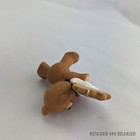 Foto 4 di 5