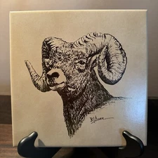 Wyoming Big Horn Sheep Ram From Pen & Ink Drawing By BJ Durr Art Tile Trivet 490