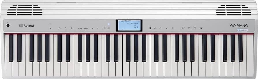 Roland GO KEYS 61-key Synth Keyboard - Replacement Parts | eBay Roland GO KEYS 61-key Synth Keyboard - Replacement Parts | eBay