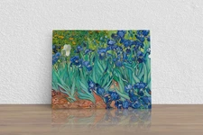 Vincent van Gogh "Irises" Canvas Print Wall Art Home Decor