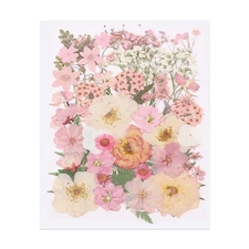 48 Pcs Dried Pressed Flower Leaves Bulk for Resin, Peach Pink