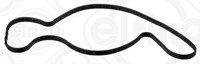 Dichtung, Wasserpumpe Elring 062.100
