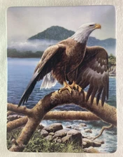 SUMMER GUARD Plate Relam of the Majestic Eagle Adrian C. Rigby Hamilton + COA