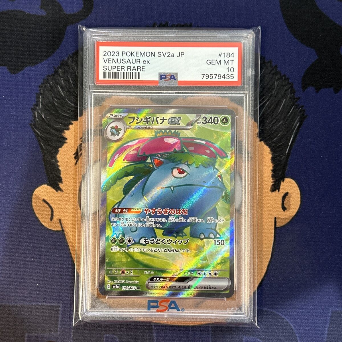 💎PSA 10 GEM MINT 2023 Pokemon Japanese SV2a 151 VENUSAUR EX 💎PSA 10 GEM MINT 2023 Pokemon Japanese SV2a 151 VENUSAUR EX