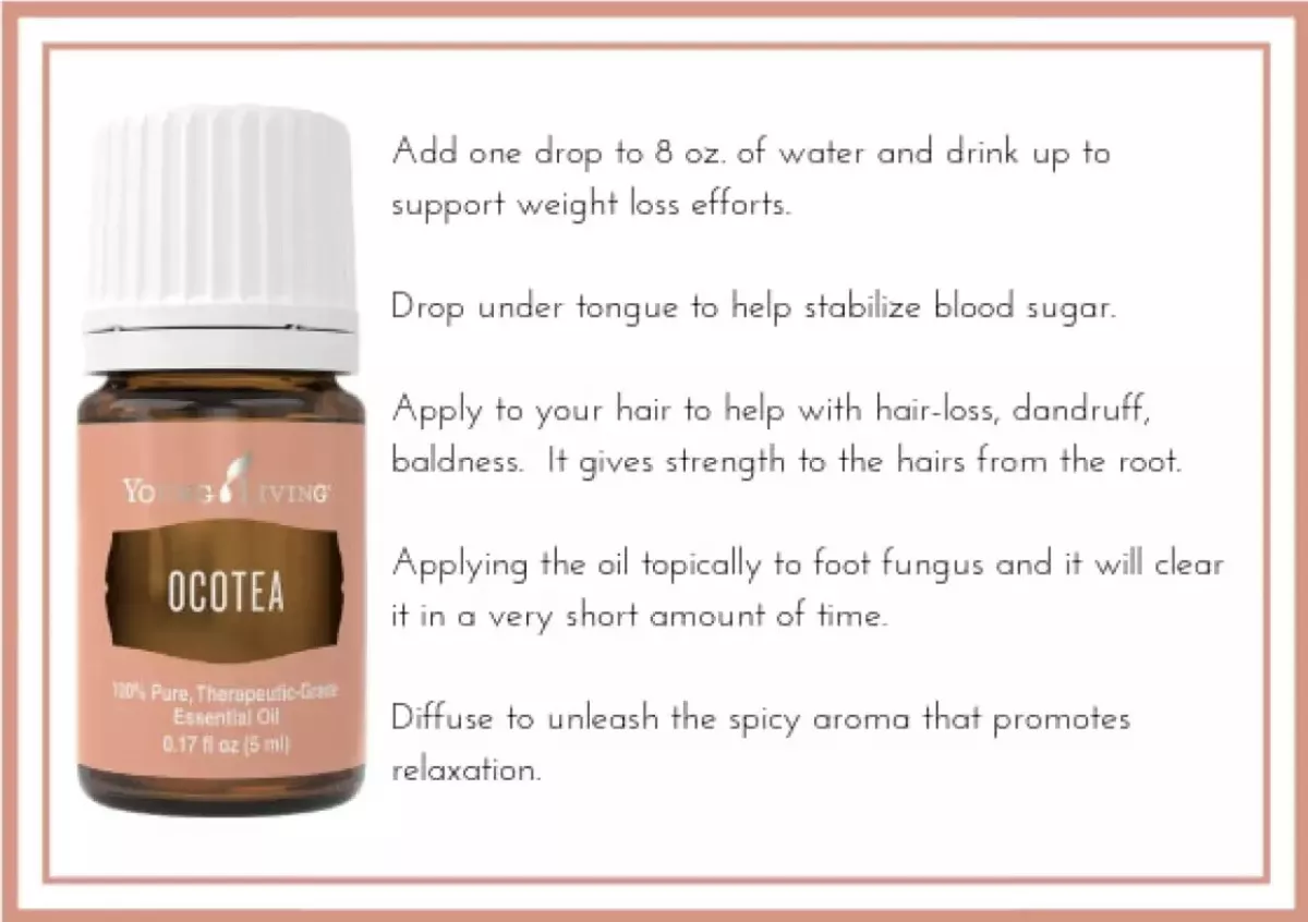 Ocotea young living deals